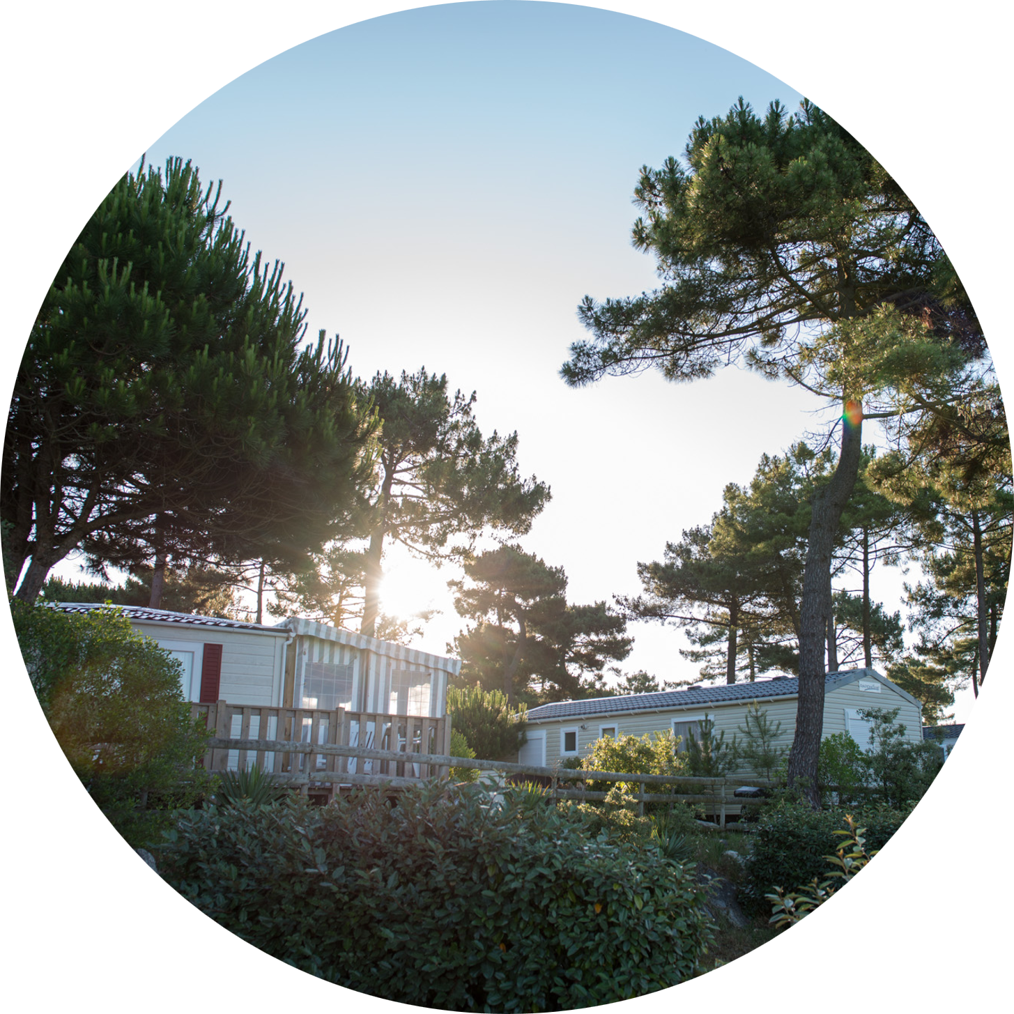 Image_Rond